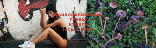 ГАЛЛЮЦИНОГЕННЫЕ ГРИБЫ Алексеевка
