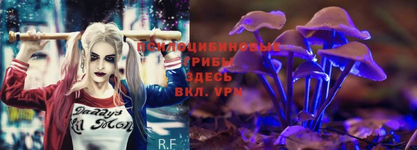 бошки Алзамай