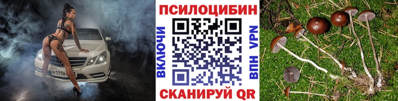 Псилоцибиновые грибы прущие грибы  блэк спрут маркетплейс  Нелидово 